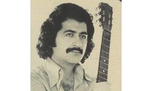 AVNİ SEÇİLMİŞ  (GİTAR)